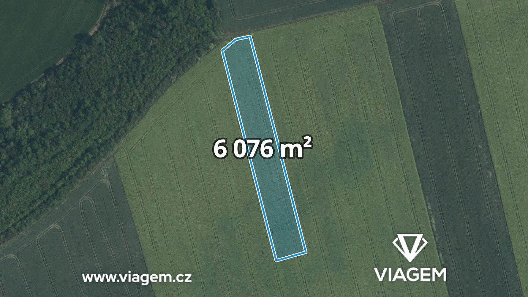 Prodej pole 3 038 m²