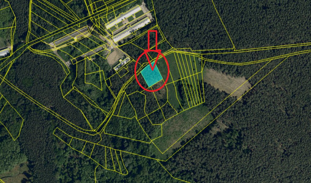 Prodej lesa 3 963 m², Vacenovice – náhled fotky 6