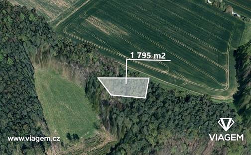 Prodej lesa 598 m², Krásná Hora, okres Havlíčkův Brod