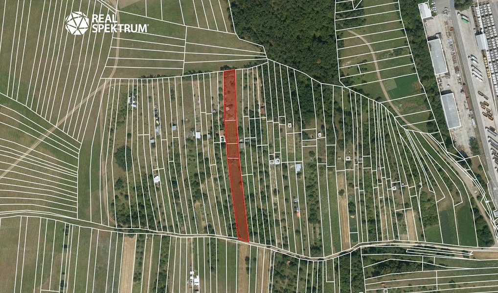 Prodej zahrady 3 069 m², Sivice – náhled fotky 4