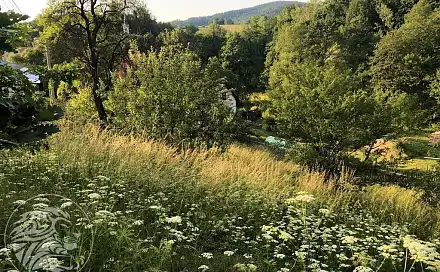 Dražba louky 2 834 m²