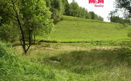 Prodej louky 2 749 m², Janův Důl, okres Liberec
