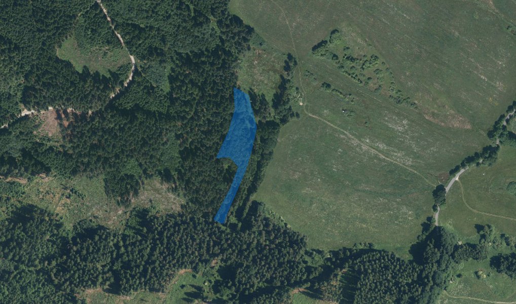 Dražba lesa, 7291 m², Tachov, Dlouhý Újezd