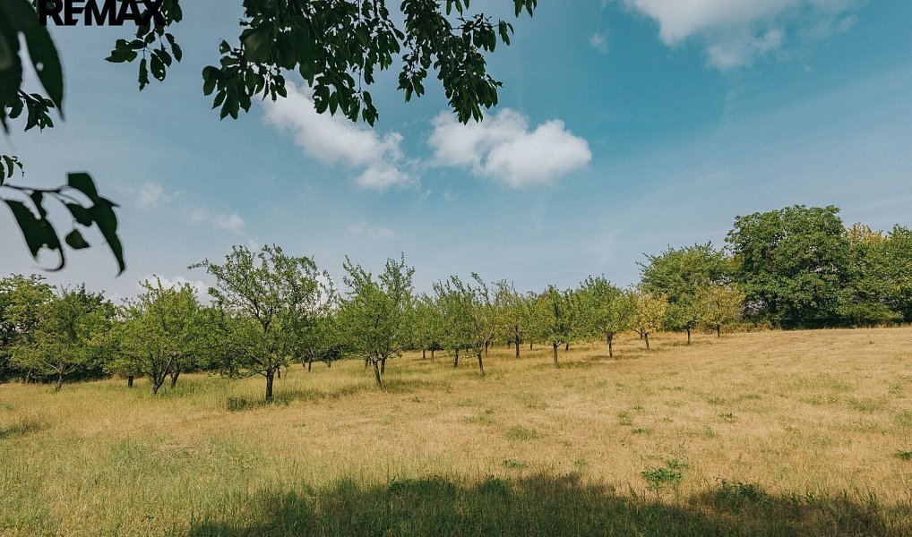 Prodej domu 192 m² s pozemkem 2 495 m², Dlouhá Loučka – náhled fotky 22