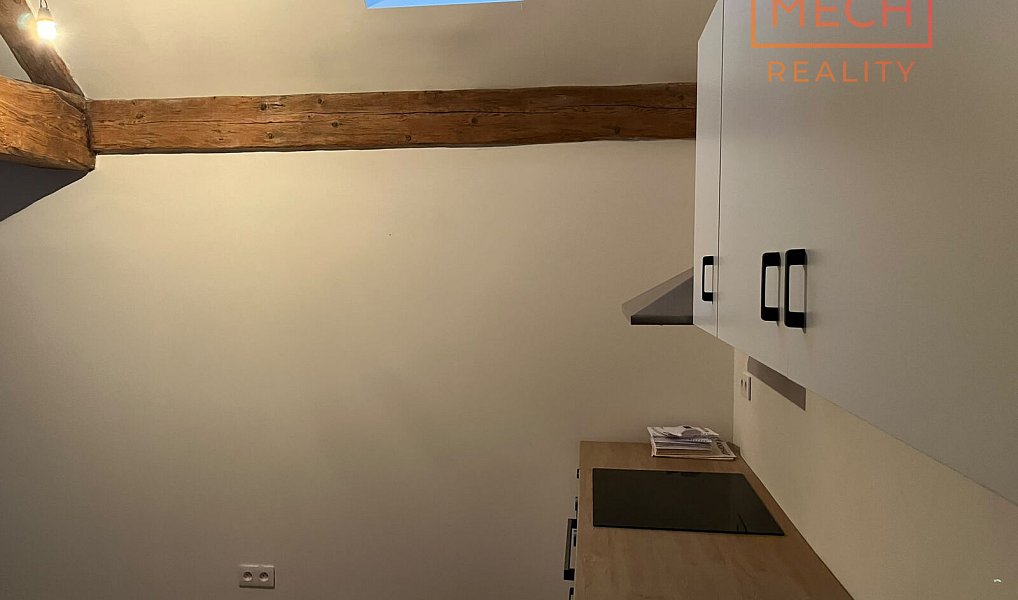 Pronájem bytu 3+kk 63 m², Třebenice – náhled fotky 14