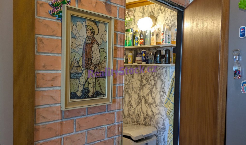 Prodej bytu 1+kk 30 m², Praha – náhled fotky 5
