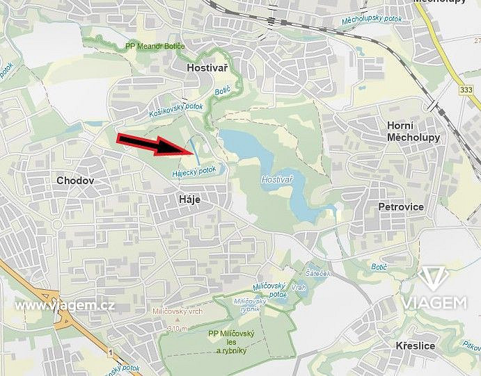 Prodej lesa 1 752 m² – fotografie 3