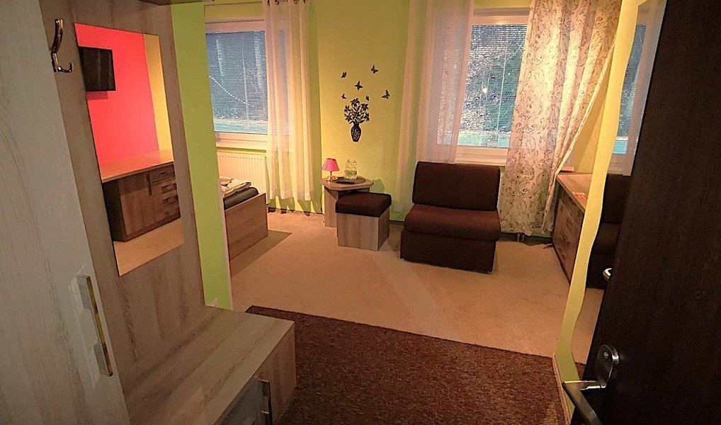 Pronájem ubytovacího objektu 385 m², Jihlava – náhled fotky 13