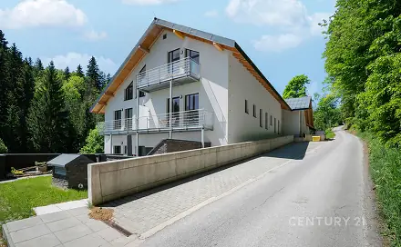 Prodej nájemního domu, činžáku 65 m², Vítkovice, okres Semily