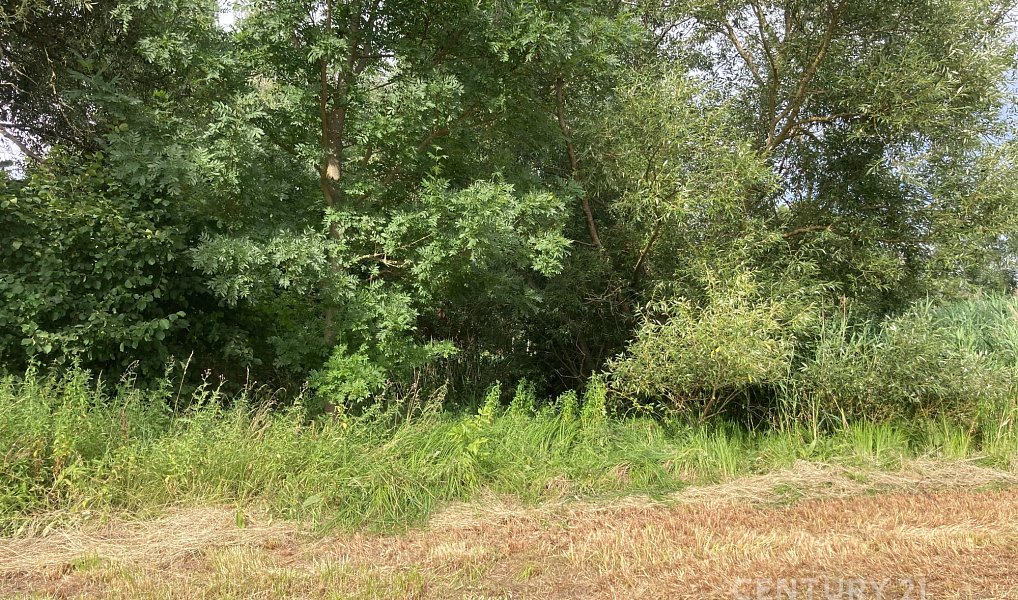 Prodej pozemku 438 m², Staňkovice – náhled fotky 4