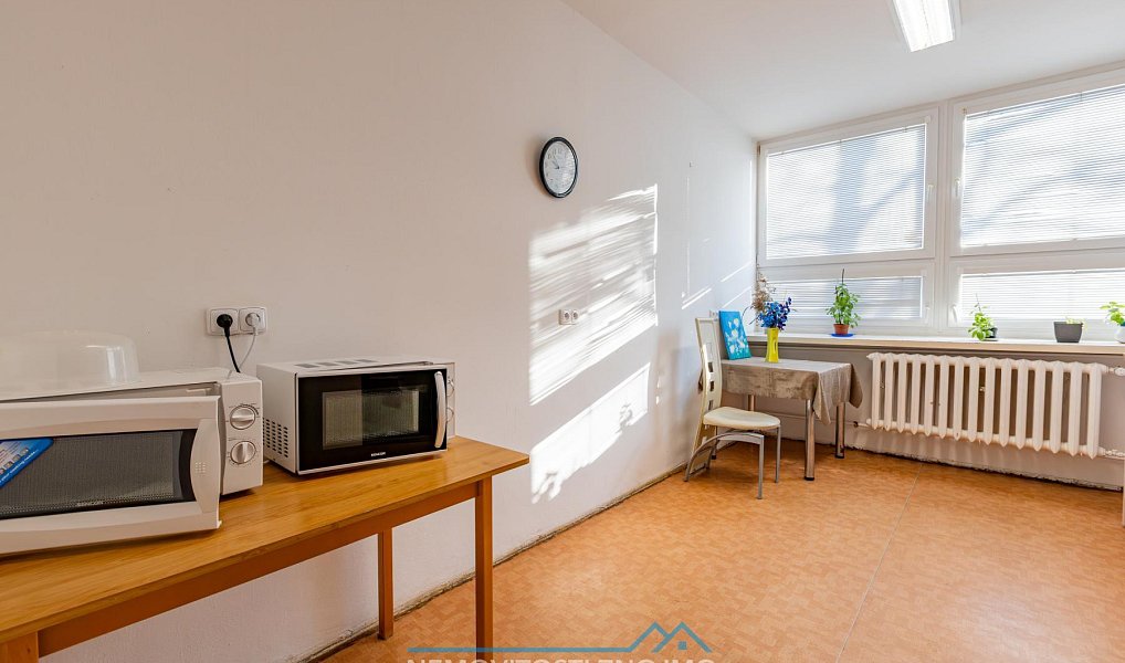 Pronájem bytu atypického 10 m², Hrušovany nad Jevišovkou – náhled fotky 20