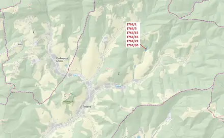 Dražba lesa 10 498 m², Trnava