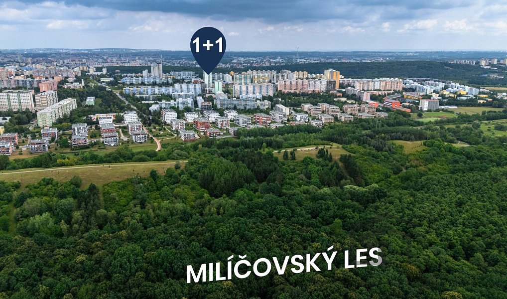 Prodej bytu 2+kk 52 m², Praha – náhled fotky 25