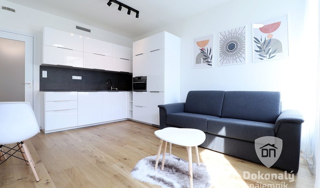 Pronájem bytu 1+kk 29 m², Praha – náhled fotky 2
