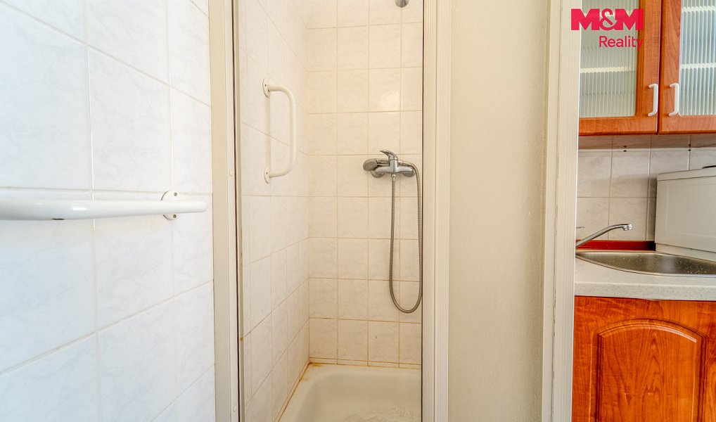 Pronájem bytu 1+1 34 m², Plzeň – náhled fotky 13