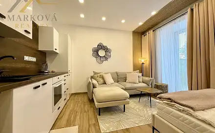 Pronájem bytu 1+kk 30 m², Dvořákova, Písek - Pražské Předměstí