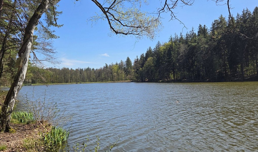 Prodej stavebního pozemku 3 541 m², Jevany – náhled fotky 25