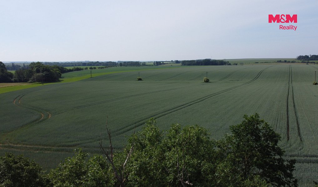 Prodej pole 99 905 m², Markvartice – náhled fotky 5