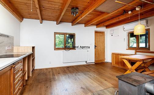 Prodej chaty/chalupy 52 m² s pozemkem 285 m², Slapy, okres Praha-západ