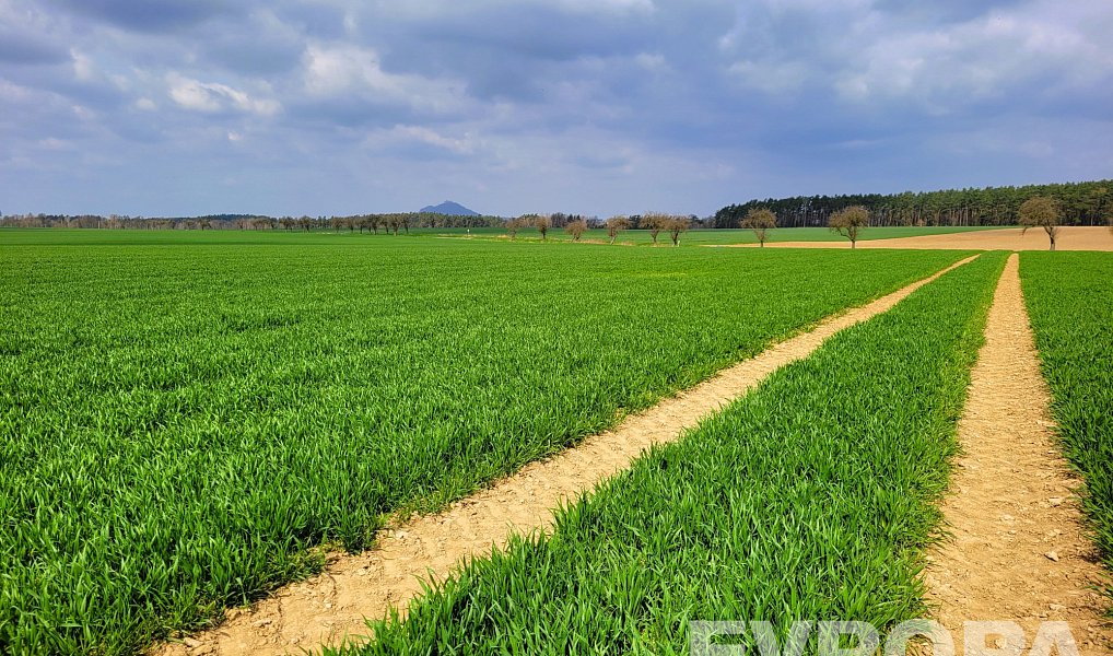 Prodej pole 27 281 m², Čistá – náhled fotky 2