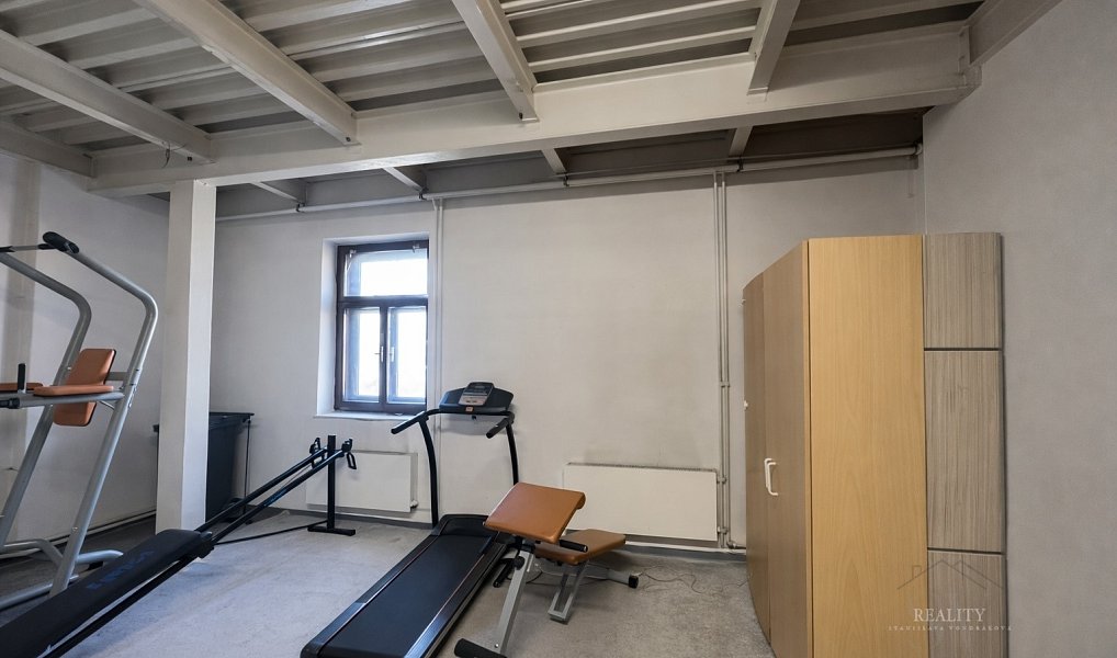 Prodej obchodních prostor 965 m², Dobruška – náhled fotky 8