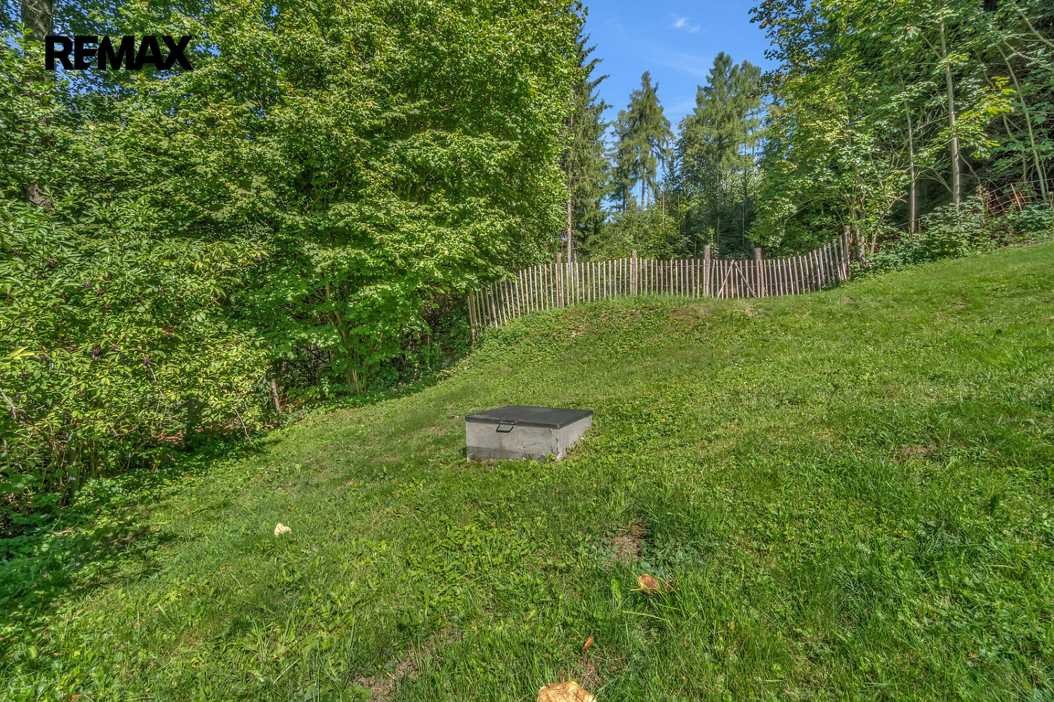 Fotka 19 z 26
