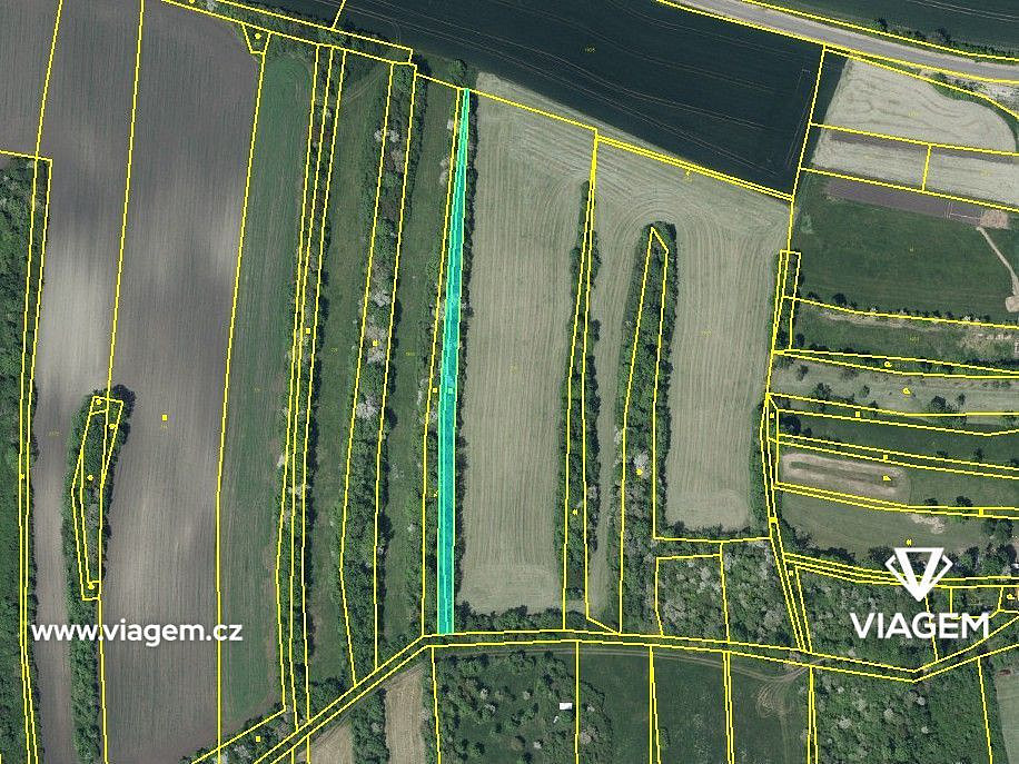 Prodej pole 1 387 m² – fotografie 5