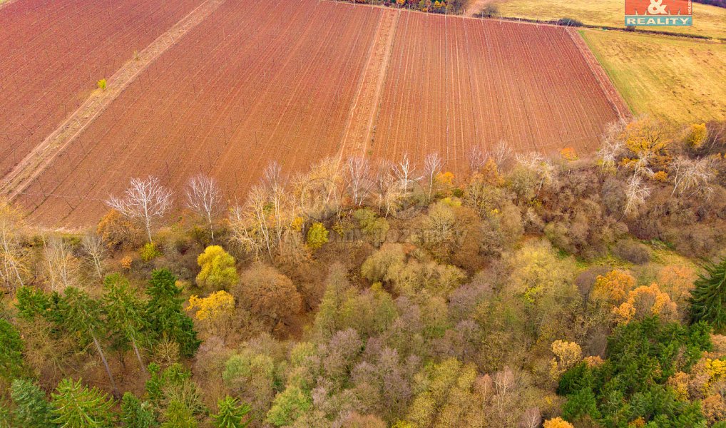Prodej pozemku 5 249 m², Tuchořice – náhled fotky 5