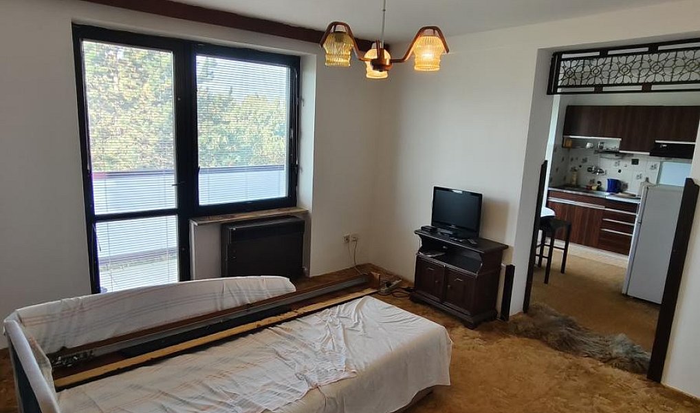 Pronájem bytu 1+1 37 m², Plzeň – náhled fotky 5