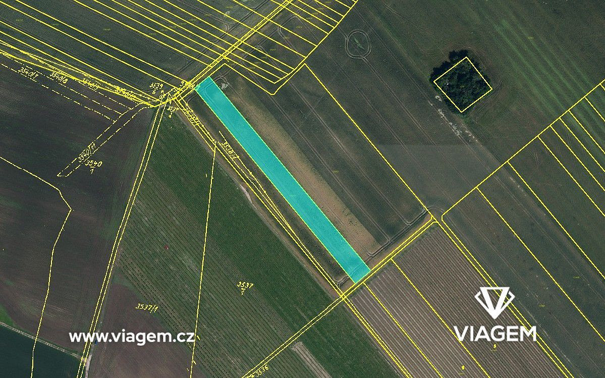 Prodej pole 1 220 m²