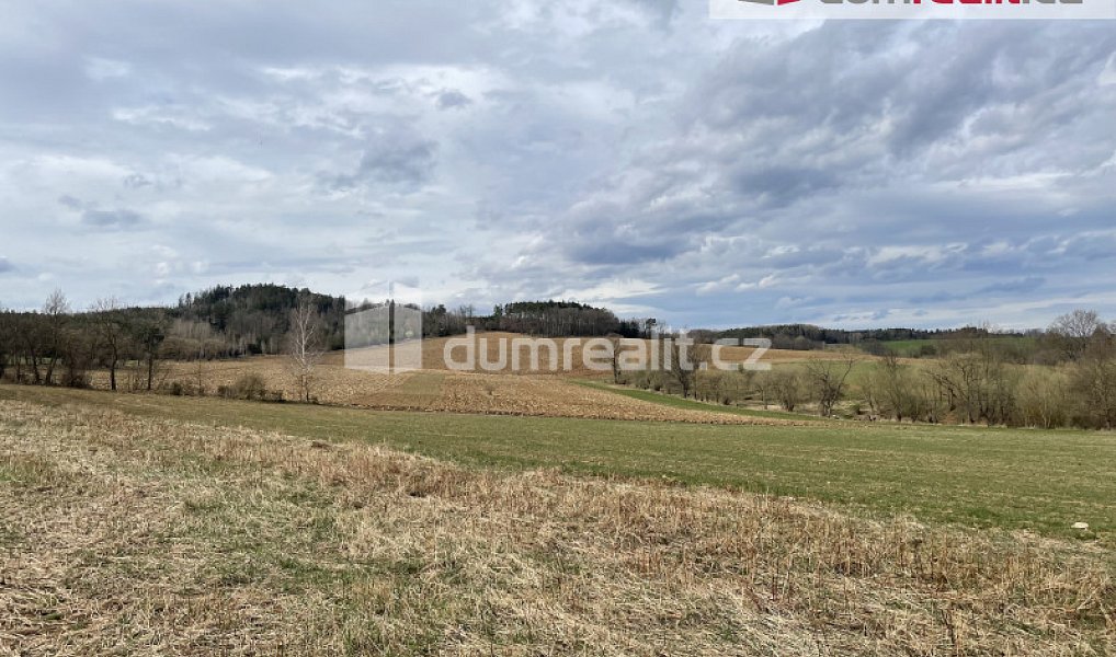 Prodej louky 5 593 m², Sedlčany – náhled fotky 9