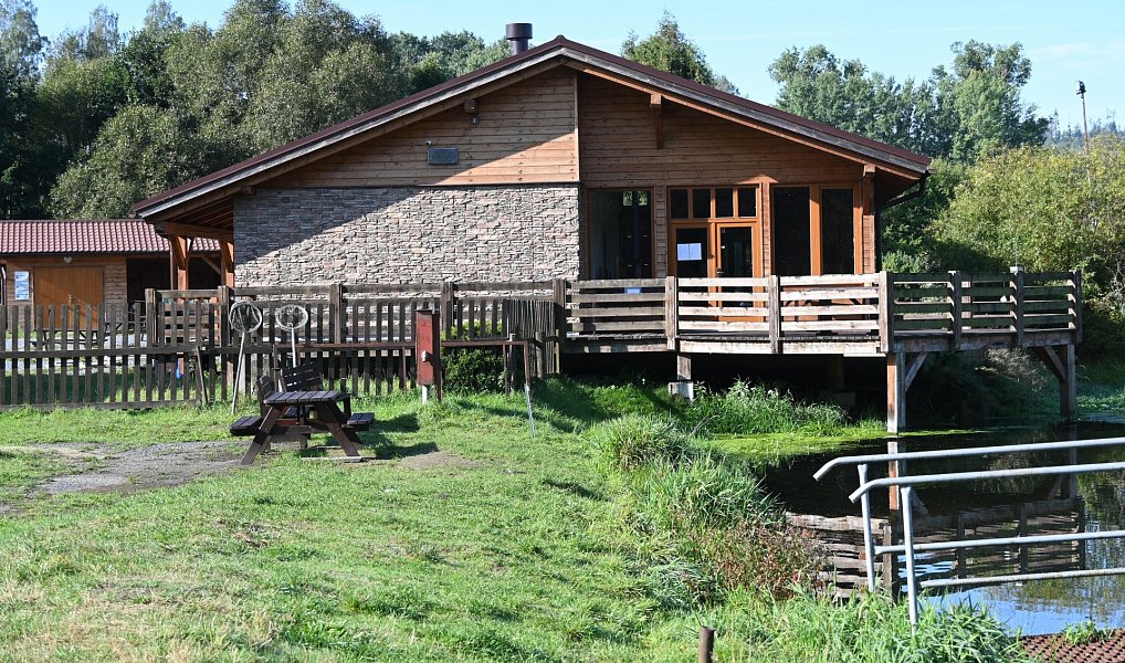 Prodej komerčního objektu (jiného typu) 5 700 m², Lomnice – náhled fotky 3