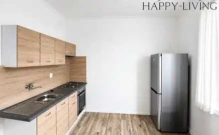 Pronájem bytu 1+1 48 m²