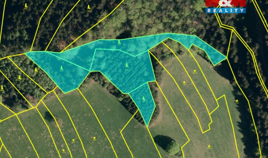 Prodej lesa 8 743 m², Valašská Senice – náhled fotky 2