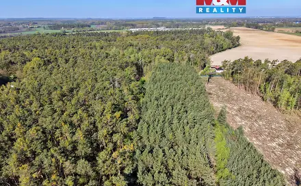 Prodej lesa 4 769 m², Sadská, okres Nymburk