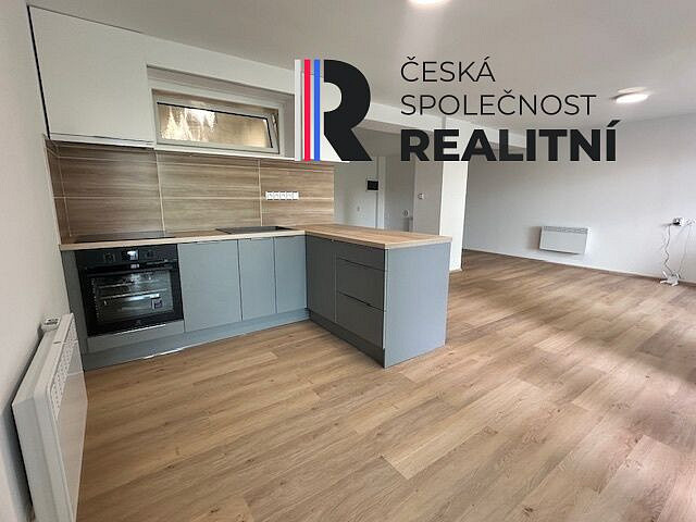 Pronájem bytu 1+kk 53 m² – fotografie 5