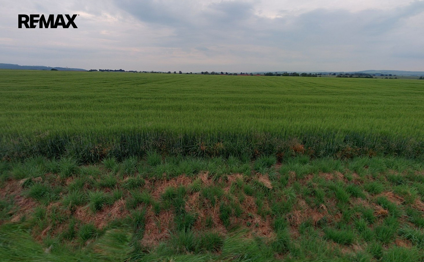 Prodej pole 5 795 m² — photo 4