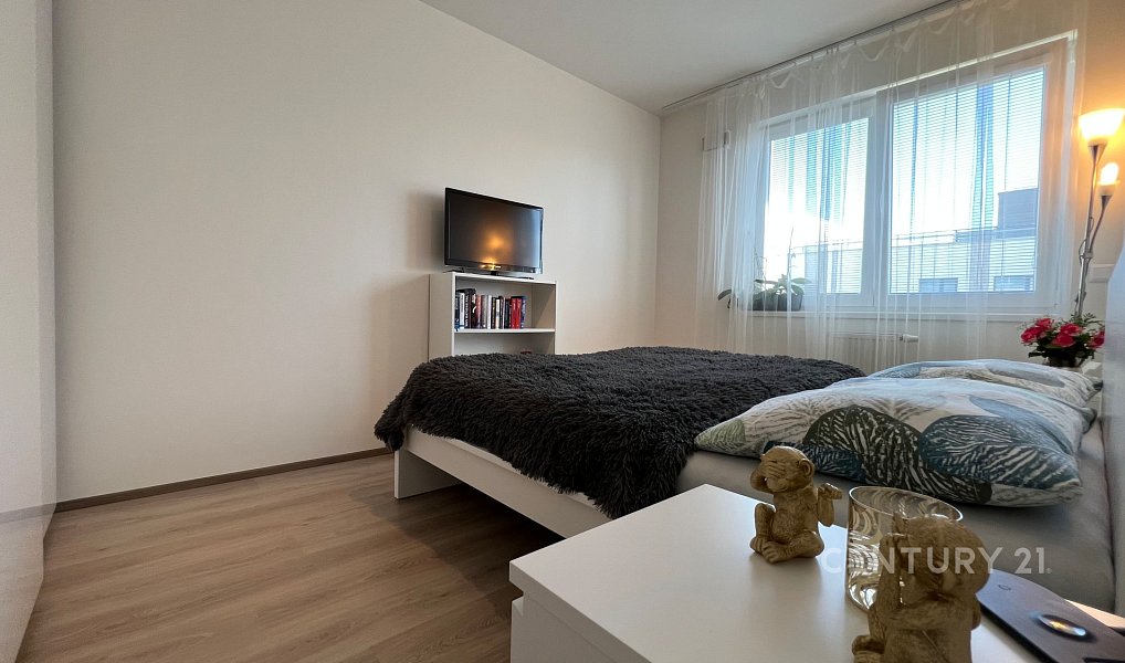 Pronájem bytu 2+kk 56 m², Praha – náhled fotky 11