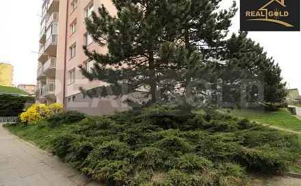 Prodej bytu 3+1 60 m²