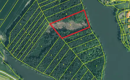 Prodej lesa 11 302 m², Borovany, okres Písek