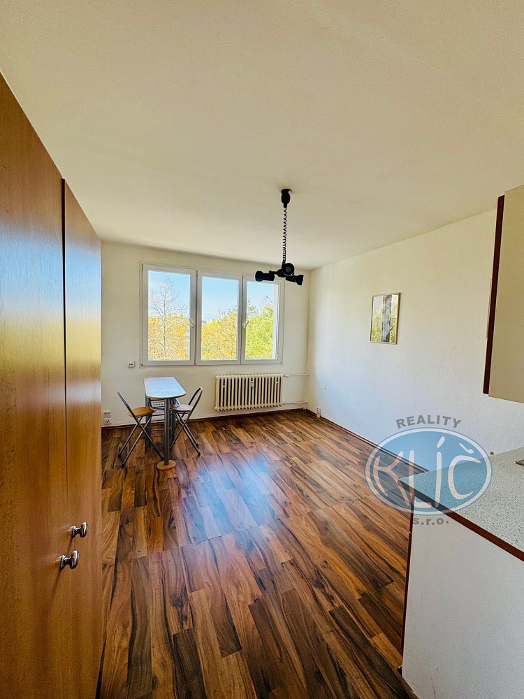 Pronájem bytu 1+kk 21 m² – fotografie 3