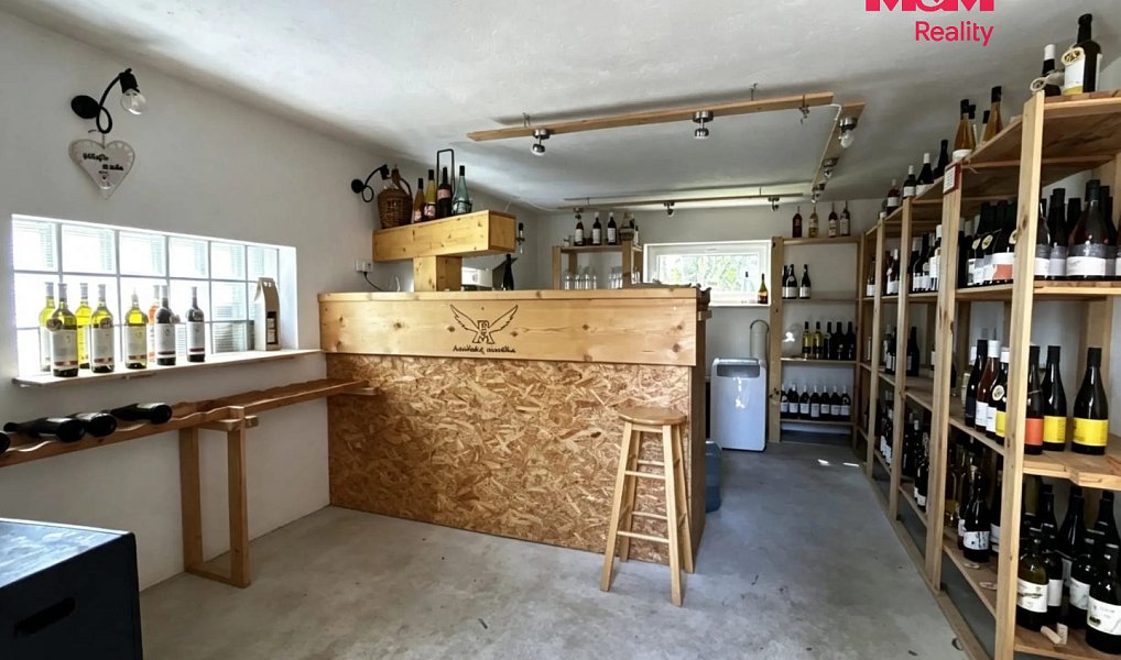 Prodej domu 360 m² s pozemkem 9 718 m², Albrechtice – náhled fotky 18