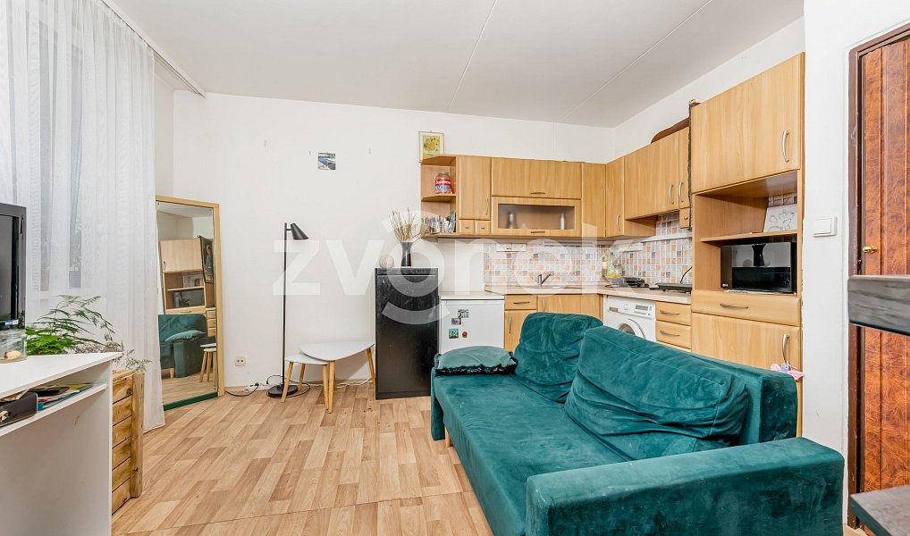 Prodej bytu 1+1, 40 m², Zlín