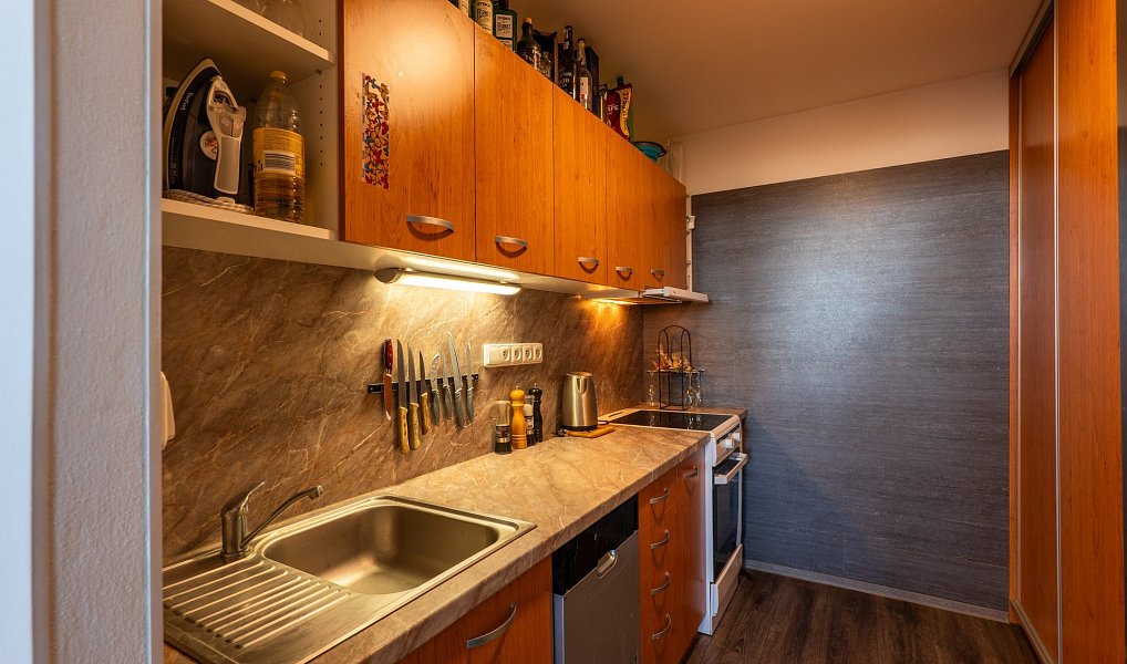 Prodej bytu 3+kk 62 m², Praha – náhled fotky 8