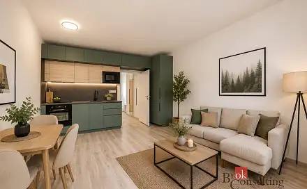 Pronájem bytu 1+kk 38 m², Železná, Plzeň - Jižní Předměstí