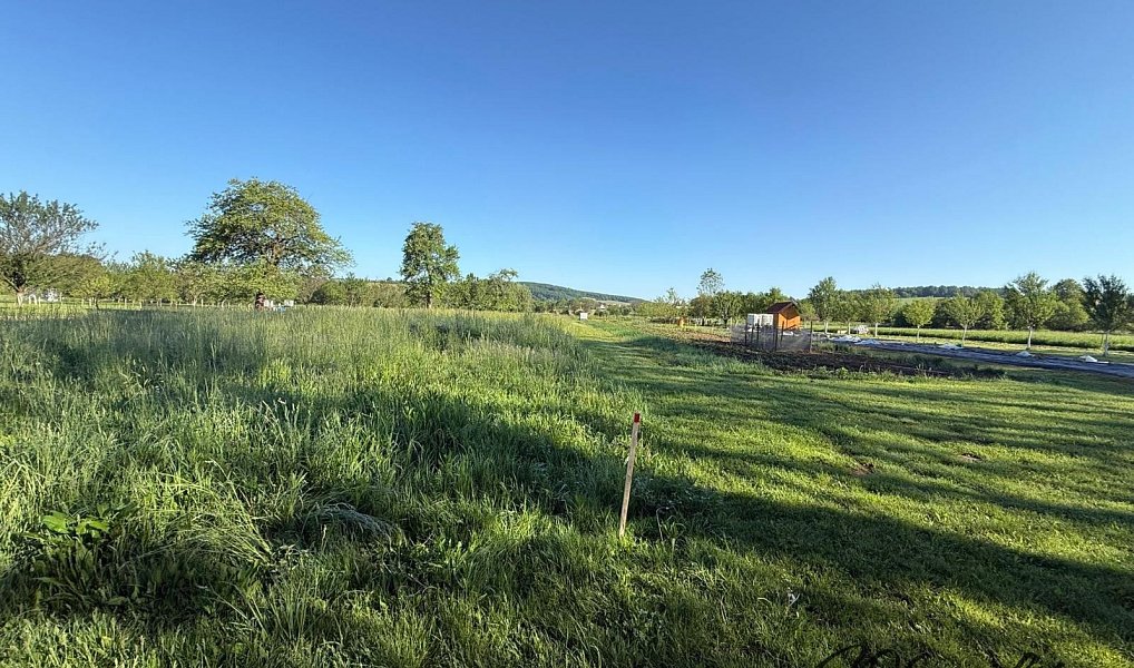 Prodej zahrady 1 297 m², Záhorovice – náhled fotky 11