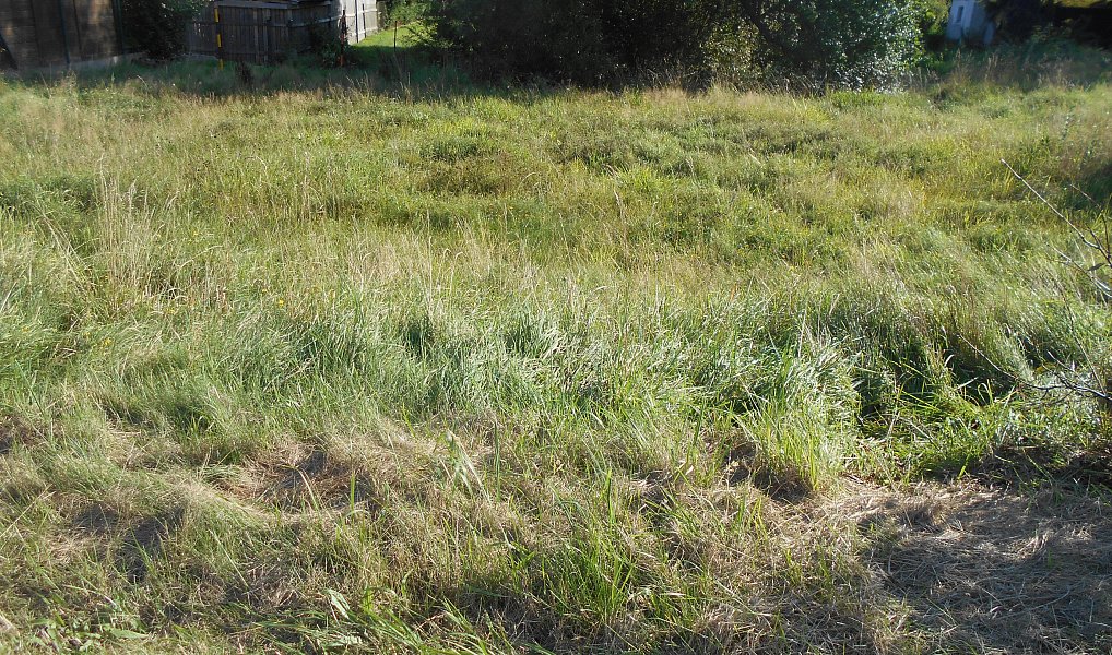 Prodej stavebního pozemku 980 m², Dolní Podluží – náhled fotky 2