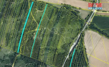 Prodej lesa 28 654 m², Nová Hradečná, okres Olomouc