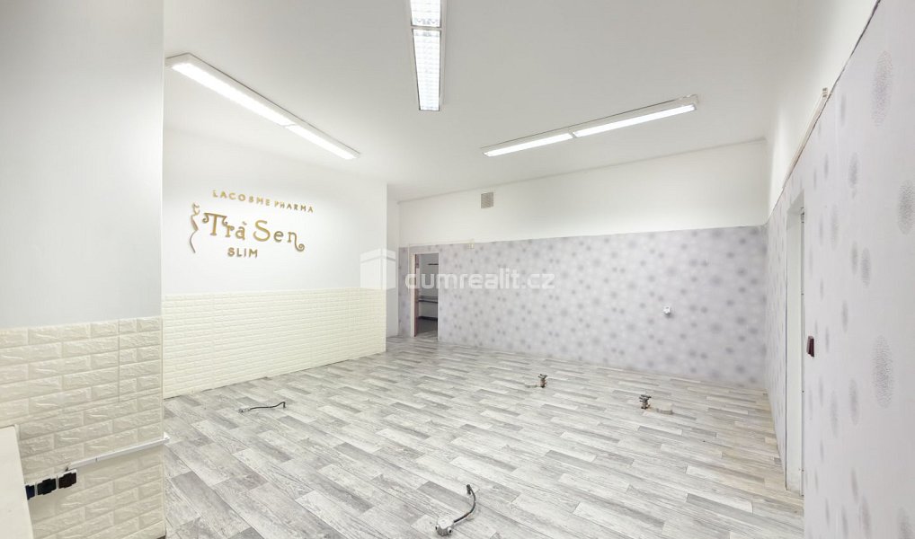 Pronájem obchodních prostor 216 m², České Budějovice – náhled fotky 18
