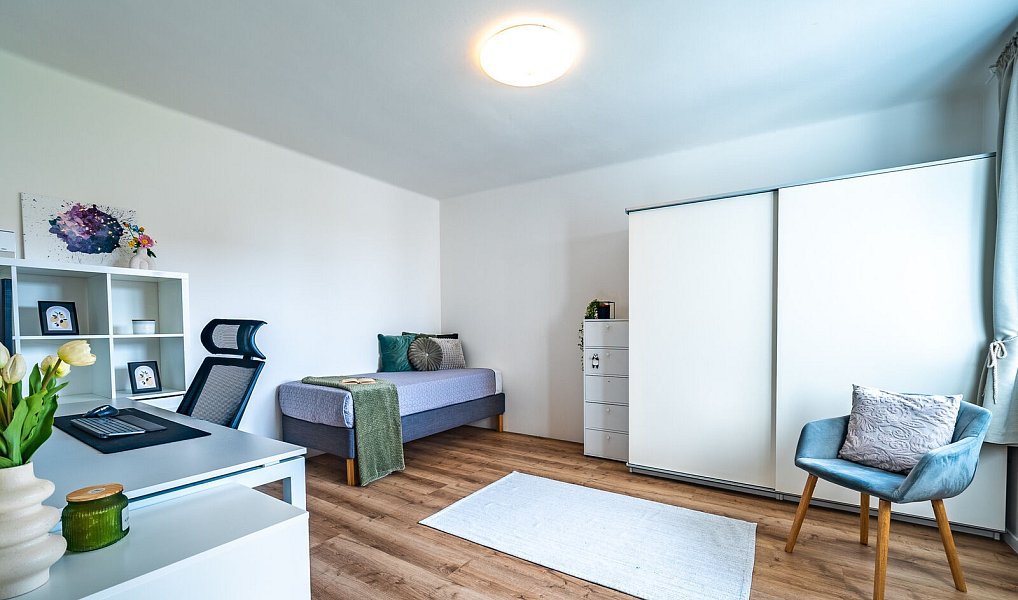 Prodej domu 316 m² s pozemkem 736 m², Dřísy – náhled fotky 11